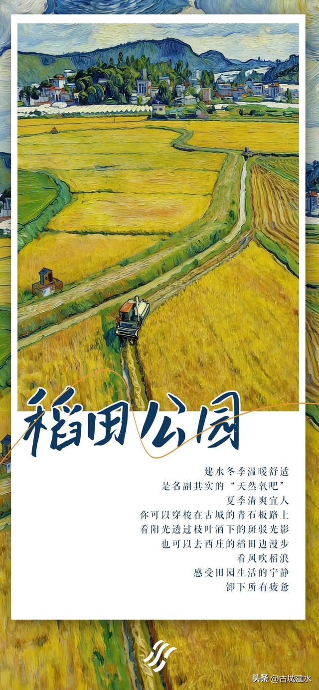 建水靠什么留住旅居客？藏在滇南烟火里的答案太动人