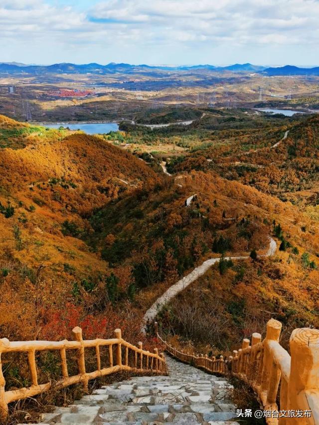 【乐游烟台】深秋倒计时！烟台莱山已进入最佳观赏期~