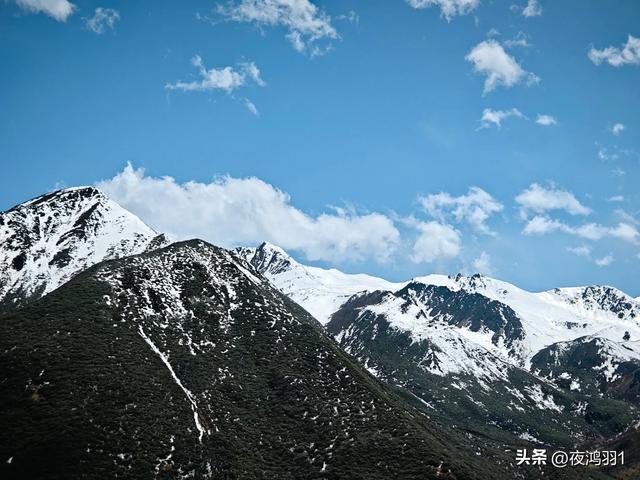 理小路环线今日风景！