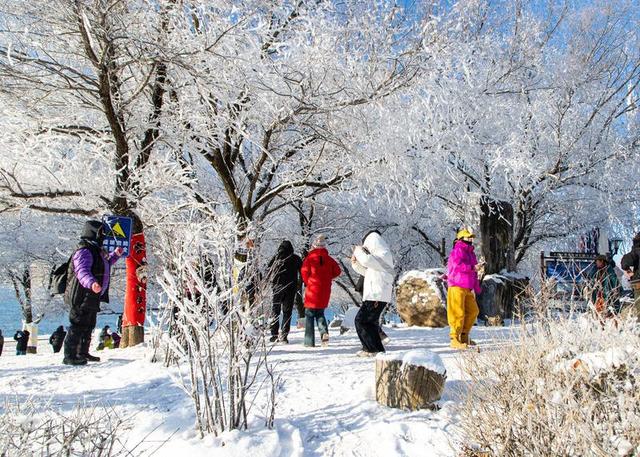 吉林市迎入冬首场雾凇 银装景致添冬日氛围