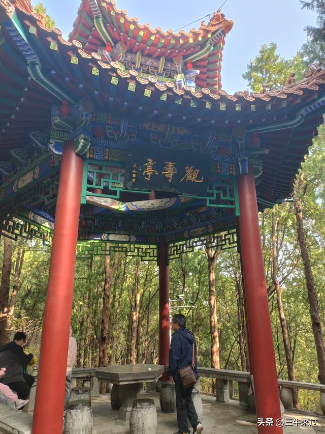 无为在歧路，漫游青州城