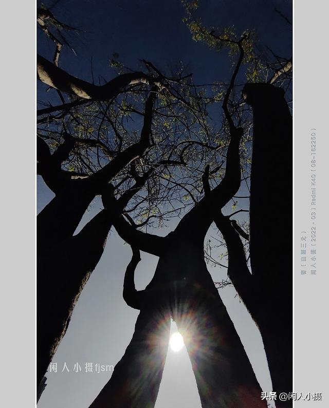 聊手机摄影（85）手机摄影用光入门须掌握，极具表现力的逆光摄影