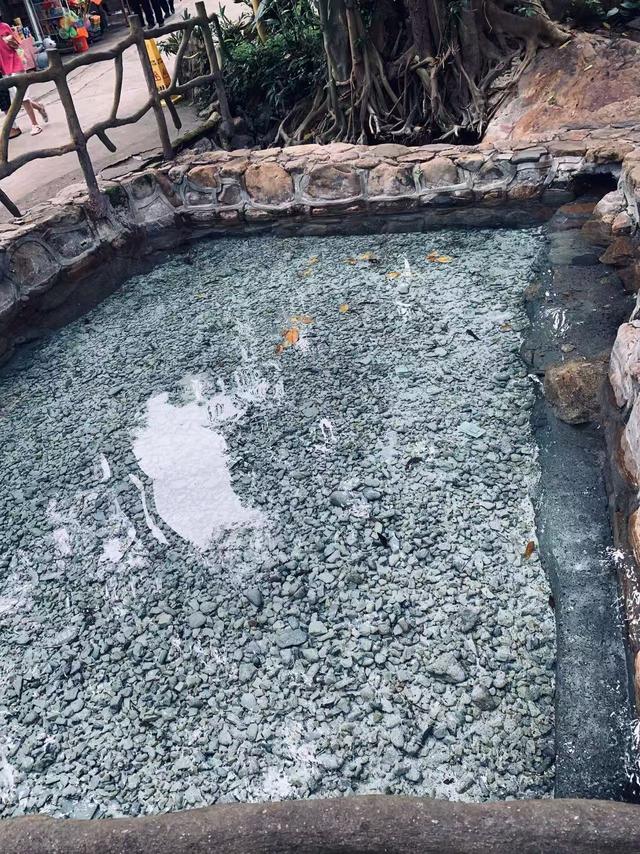 莫里热带雨林好风光