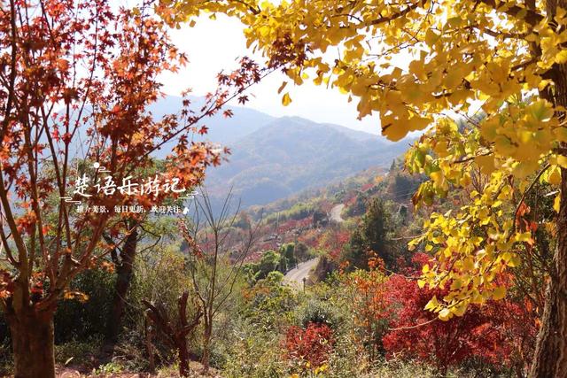 雪窦山深处的古村，周边的红枫胜境太美了，弥勒大佛观景地是亮点