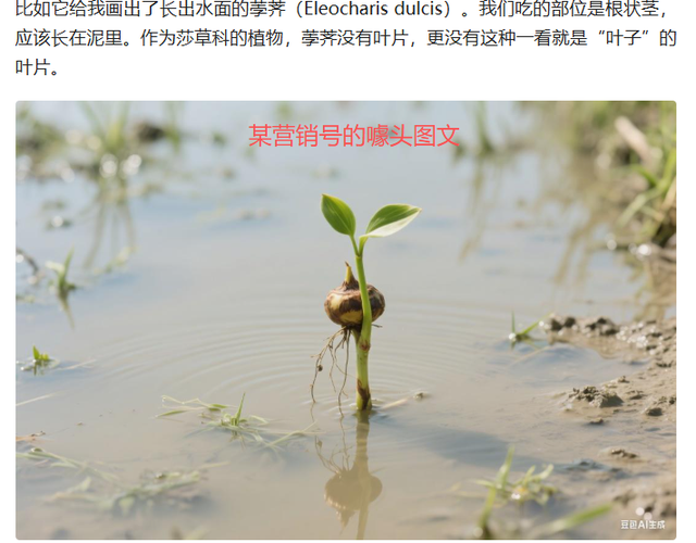 花生上树广告引热议，AI成替罪羊？使用者专业素养为问题关键！