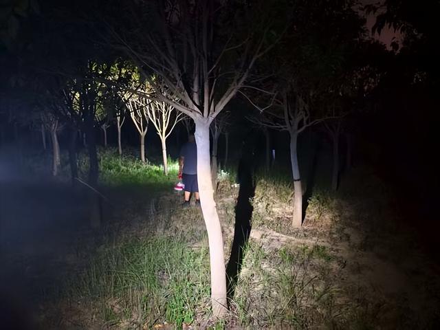 夜幕下的夏日狂欢！郑州树木园里成群结队摸“爬叉”