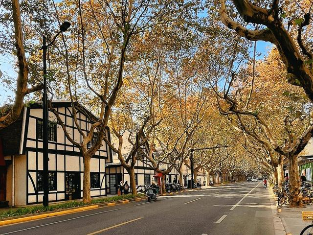 叮！你有一份上海秋日漫步地图待解锁→