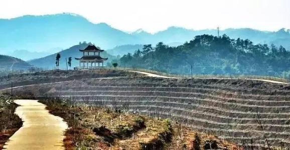 广西苍梧县历史沿革及行政区划