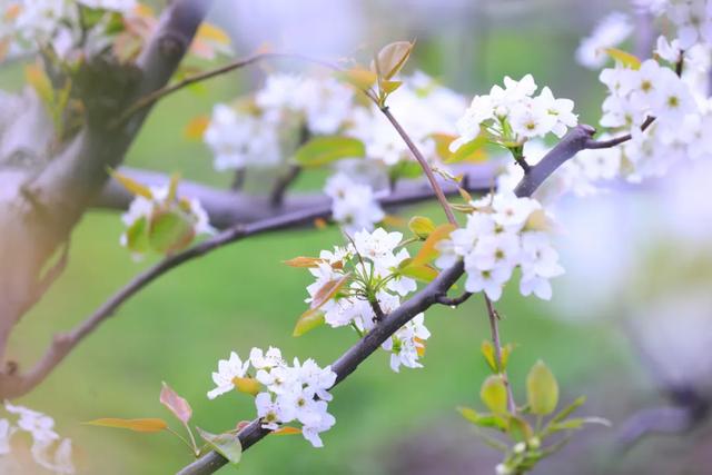 嘉定新增三处经营性帐篷露营地，周末走起→