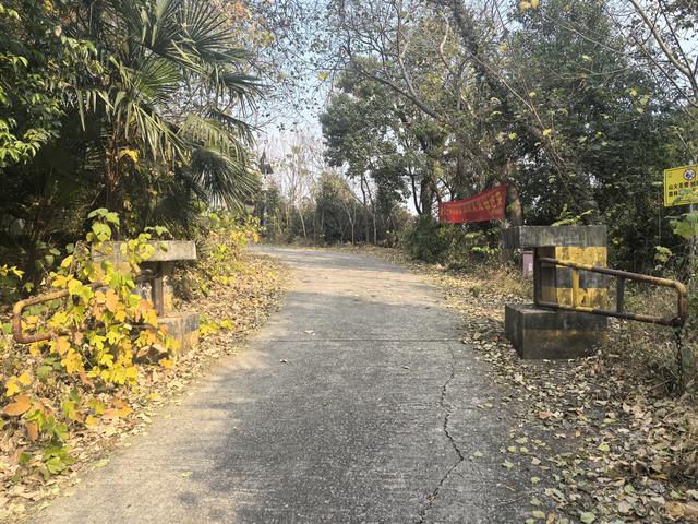 南京幕府山（东线）郊野徒步