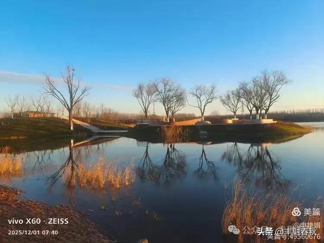 初冬北京朝阳坝河金盏淀：清寒里的静美画卷｜申艳娟