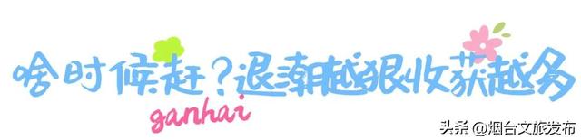 【乐游烟台】爆桶秘籍！烟台赶海zui全攻略速看→