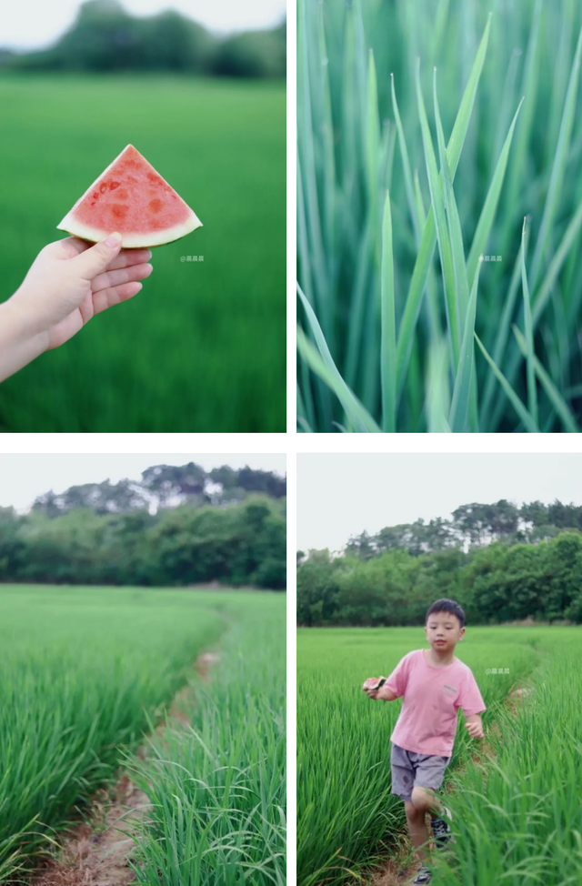 武汉夏天 | 黄陂3日游 · 回到童年