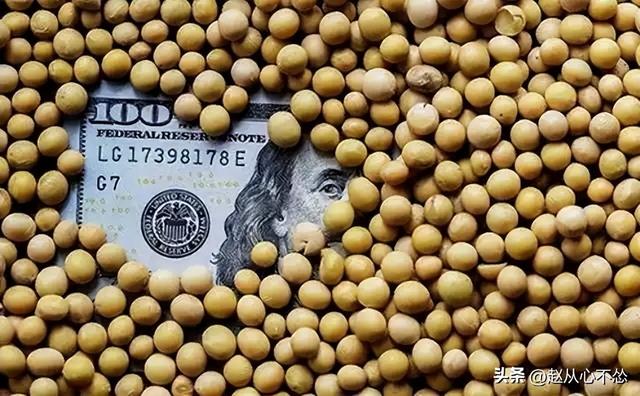 贪心砸了饭碗？巴西硬抬价，中国 130 万吨大豆瞬间流向阿根廷！