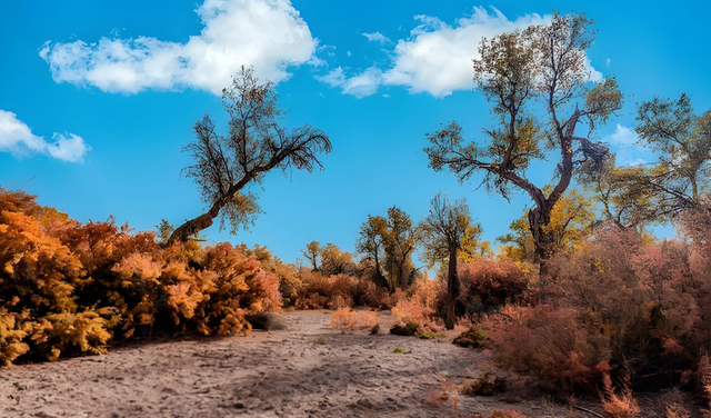 高台县位于河西走廊中部，历史上曾是北凉政权的都城，很不一般哦