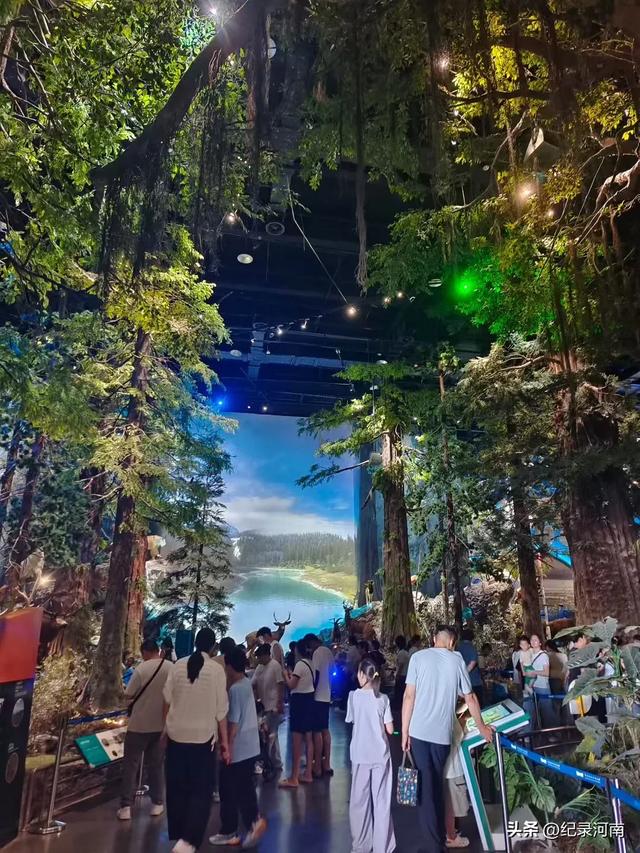 🖤打卡河南科技馆-好多体验设备都是坏的，赶快维修维护起来吧
