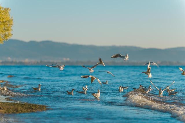 我心目中最适合养老的 8 大小城，我把威海排在了第 2，曲靖第 5！