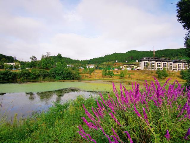 手机被1.4万张照片撑爆，我才明白这个道理