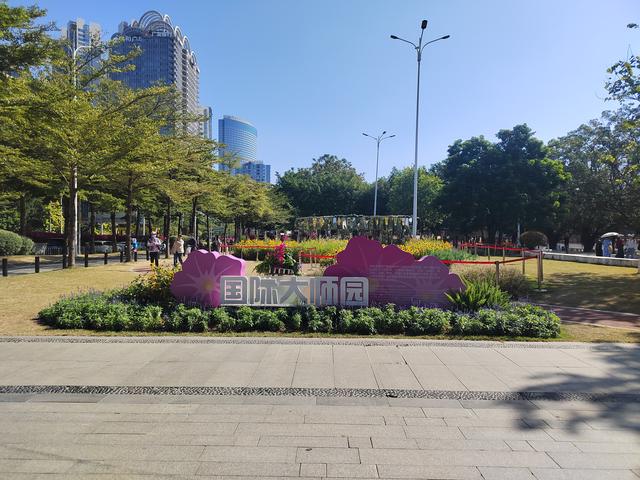 花城看花看灯饰