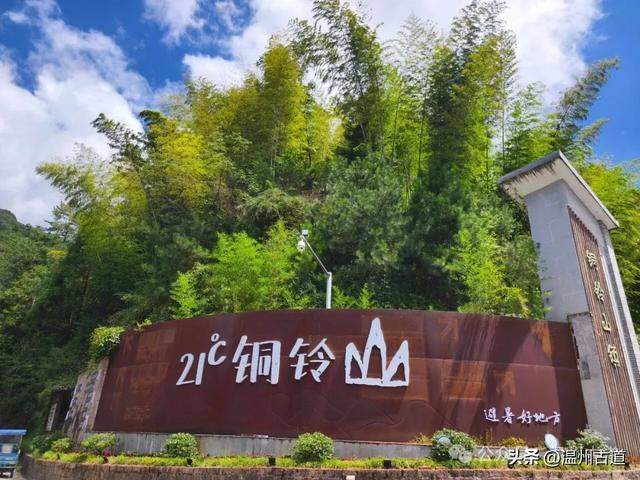 这个凭借21℃的天然清凉悄然“出圈”的森林小镇,别具异域风情!