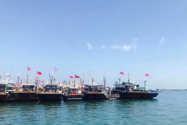 去烟台龙口旅游,海菜包4元一个,凉拌海菜20元一盘,你看值吗?