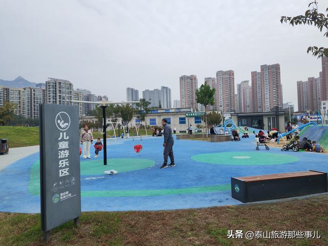 泰安：泰山下一个街角公园火了，有百米粉黛花海，错过要再等一年