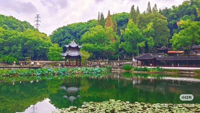 爆火！高铁1.5h！好吃不输乐山，安逸不差成都！这座火遍全国的川南小城是时候被挖掘！