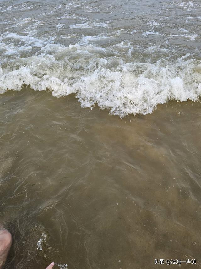 海浪声声，海浪滚滚，海浪阵阵，海浪朵朵，您好大海，您好海浪！