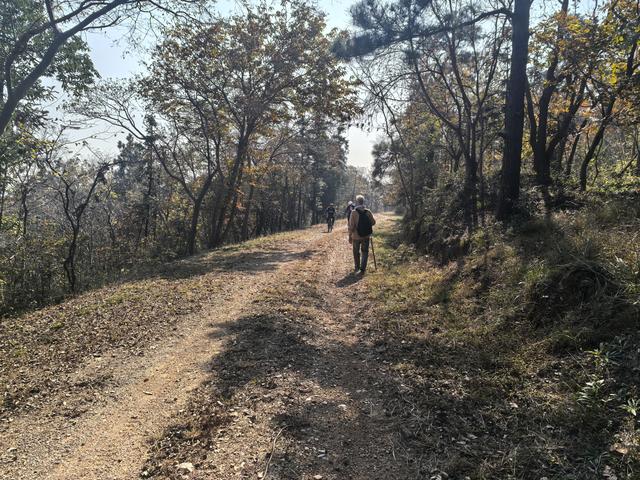 南京龙尚湖，大连山，佘村一日郊野徒步