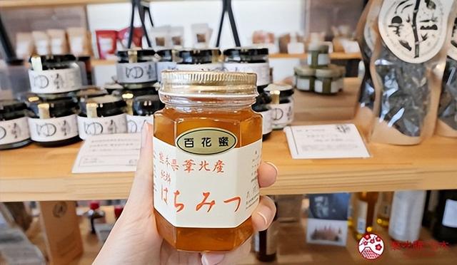 熊本县南部自驾一日游推荐：到「水俣・芦北」体验水上活动