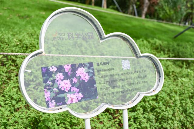深活指南｜城市漫游指南·光明站