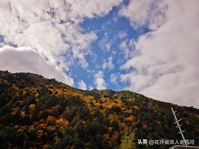 米亚罗彩林季，观赏一日游！