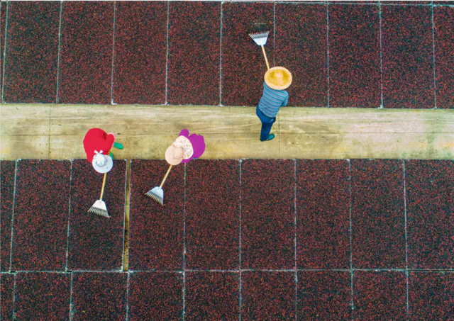 在海南，喝咖啡也是一种仪式感