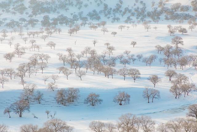 反季旅游也很爽，这7个目的地，冬季人少景美，体验更好