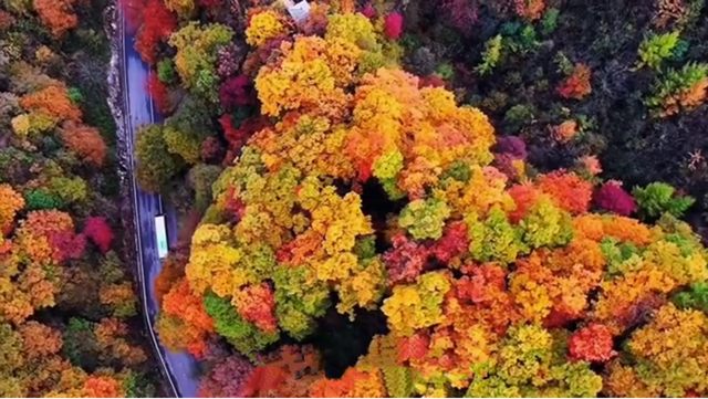 泰安秋韵：一入此境便难忘