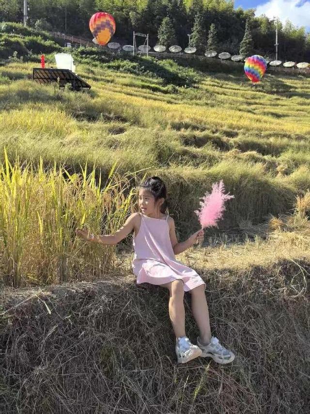 追梦老顽童戴树民：有一个地方叫“湖洋”