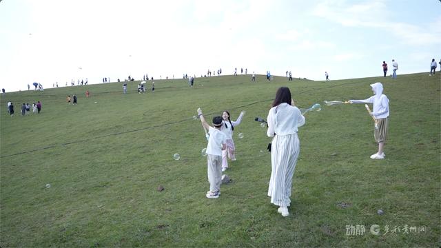 乌蒙大草原是有多凉快？暑期接待游客62.37万人次，创历史新高