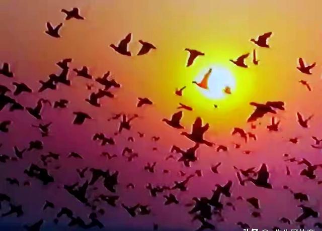 中国正式向世界宣告二件大事、一起来看看，太棒了！