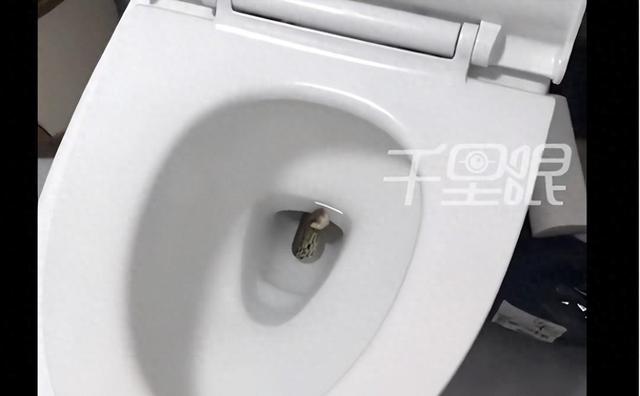 无锡女子半夜上厕所，马桶里盘着条蛇，她的处理方式让所有人后怕
