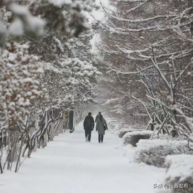 东北一家亲！这个冬天，东北喊你组团来赏冰玩雪