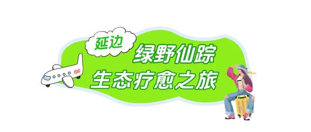 大学新生专属福利！免票+优惠→