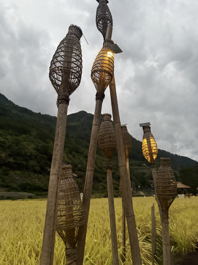 寻路屏南，茶盐古道今何在？