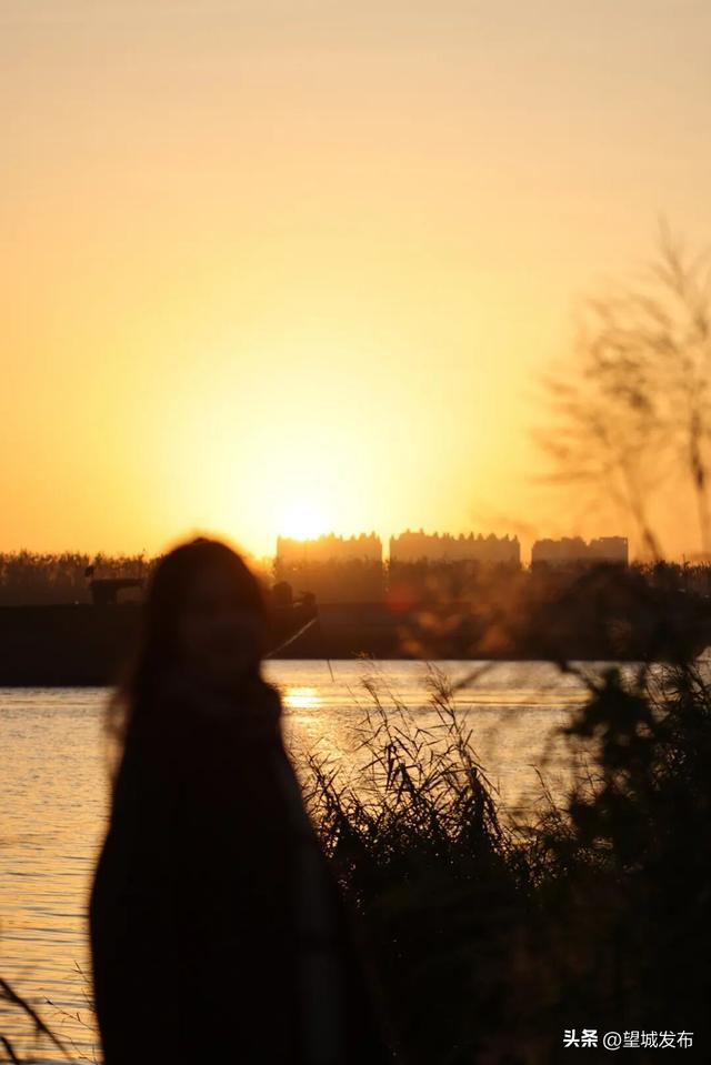 芦苇+落日=超级出片！望城这片景太会了！
