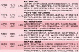 化债概念9支核心股行业地位整理+市场风险提示（11.3）图片