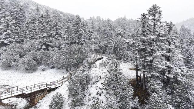 准备好迎接初冬的官鹅沟了吗？