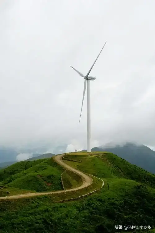 湖南郴州旅游，桂东万洋山打卡攻略！