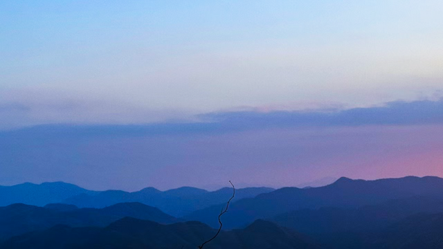 芒种行记｜望海茶，一盏香茗观山海