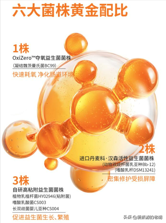 旅行归来，除了美景还有 “一肚子” 心事？你的救星来了