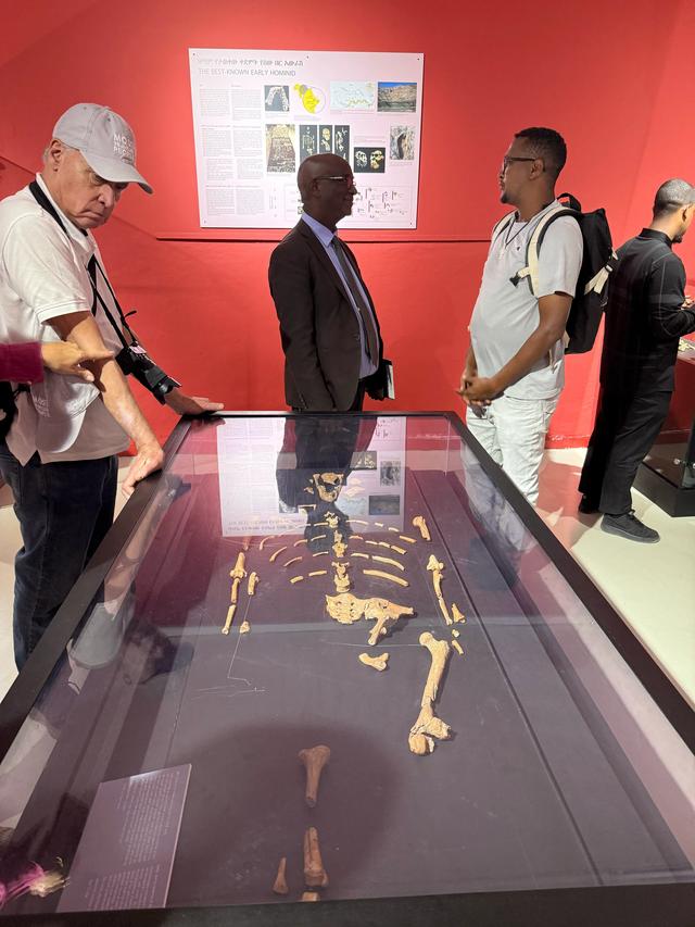 【联合国特别大师】人类祖先露西与世界选美