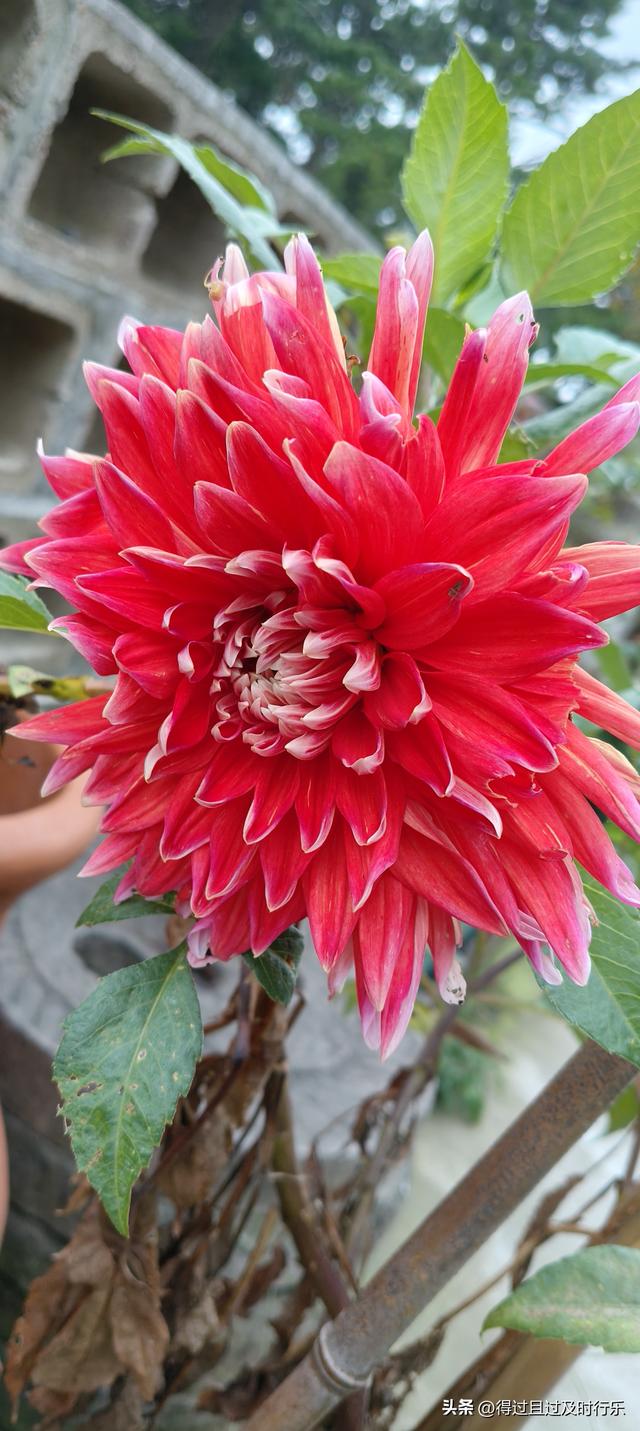 庐山游记-01来庐山，心悠然